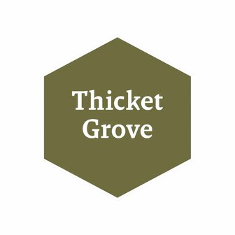 Thicket Grove - John Blanche Masterclass Warpaints &ndash; Acrylverf &ndash; The Army Painter