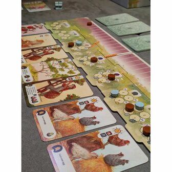 Countryside &ndash; Bordspel &ndash; DSV Games