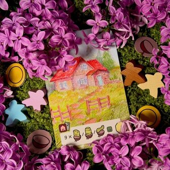 Countryside &ndash; Bordspel &ndash; DSV Games