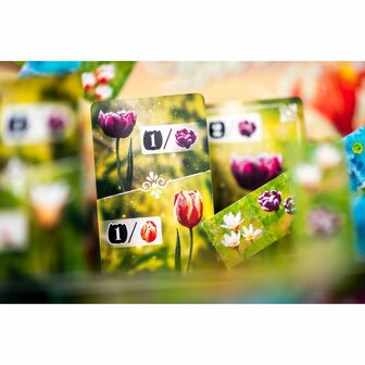 Frosted Blooms (NL) &ndash; Tegellegspel &ndash; DSV Games