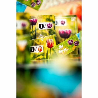 Frosted Blooms (NL) &ndash; Tegellegspel &ndash; DSV Games