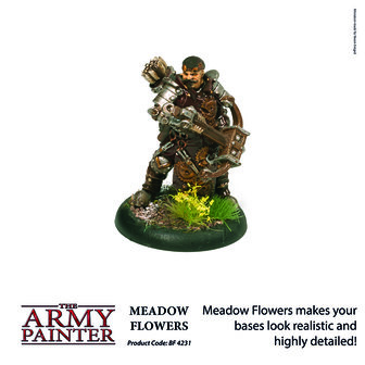 Battlefields: Meadow Flowers (The Army Painter)