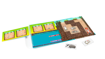 Down The Rabbit Hole (Magnetic Travel Games) (5+)