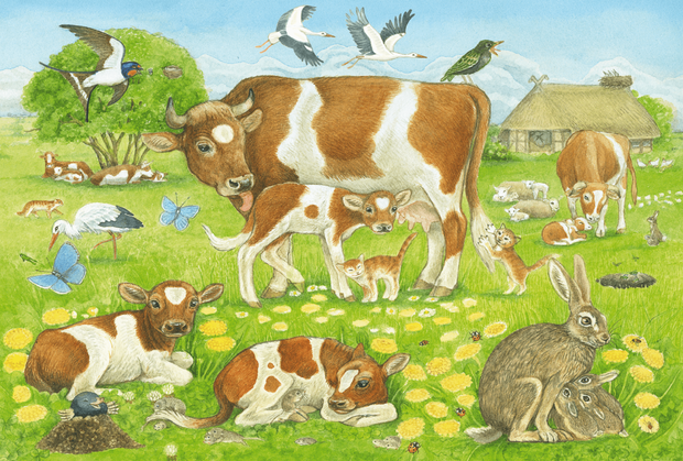 Dierenfamilie - Puzzel (3x48)