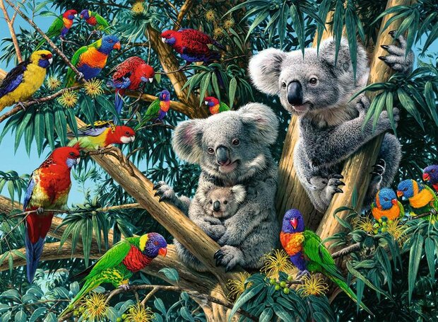 Koala's in de boom - Puzzel (500)