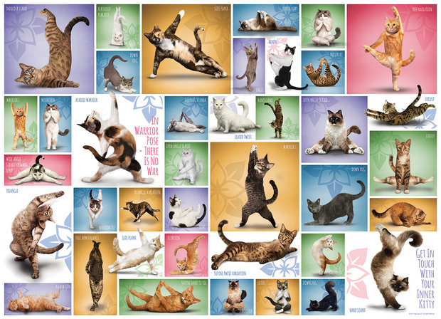 Yoga Cats - Puzzel (1000)