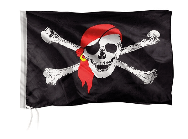 In de Piratenbaai - Puzzel (100)