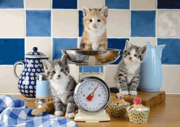 Katten in de Keuken - Puzzel (500)