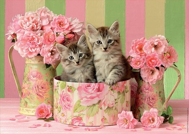 Kittens with Roses - Puzzel (500)