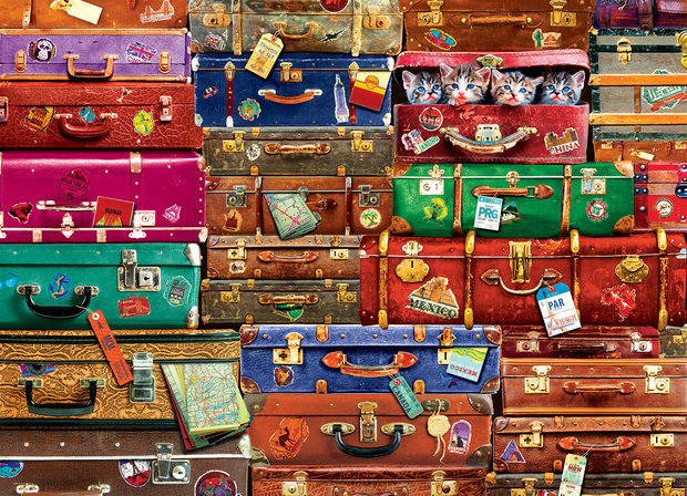 Travel Suitcases - Puzzel (1000)
