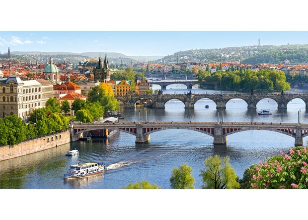 Vltava Bridges in Prague (4000)