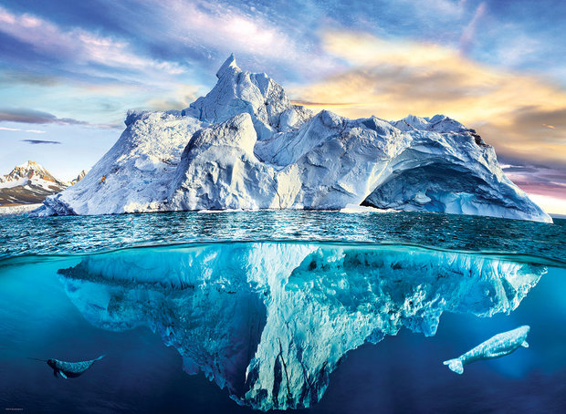 Save our Planet: Arctic - Puzzel (1000)