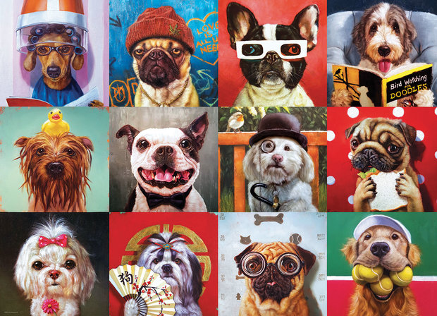 Funny Dogs - Puzzel (1000)