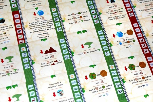 Ecos: First Continent