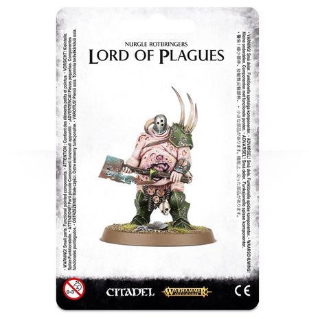 Warhammer: Age of Sigmar - Maggotkin of Nurgle Lord of Plagues