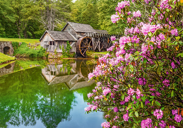 Mill by the Pond - Puzzel (500)
