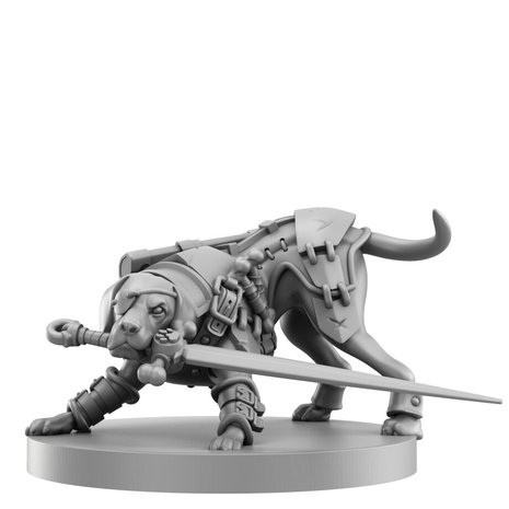 Animal Adventures: RPG Starter Set