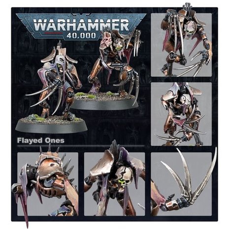 Warhammer 40,000 - Necrons: Flayed Ones