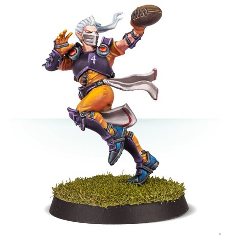 Blood Bowl: The Elfheim Eagles (Elven Union Blood Bowl Team)