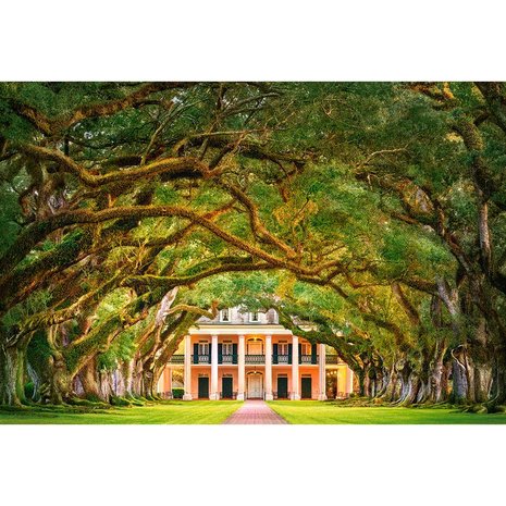 Oak Alley Plantation - Puzzel (1000)