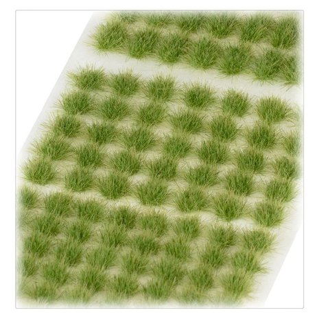 Verdia Veldt Tufts (Citadel)