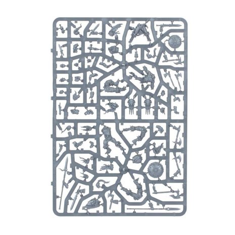 Warhammer: Age of Sigmar - Warcry (Red Harvest)