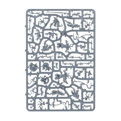 Warhammer: Age of Sigmar - Warcry (Red Harvest)