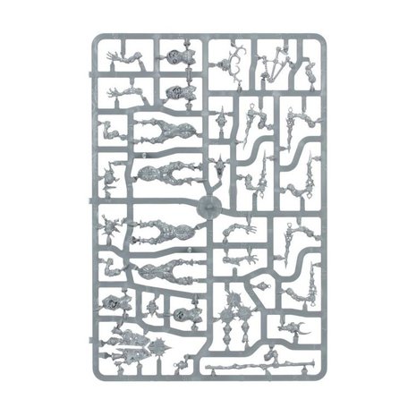 Warhammer: Age of Sigmar - Vanguard: Maggotkin of Nurgle