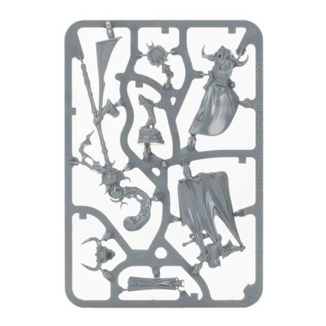 Warhammer: Age of Sigmar - Hedonists of Slaanesh: Shardspeaker of Slaanesh