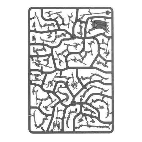 Warhammer 40,000 - Combat Patrol: Thousand Sons