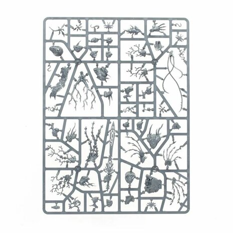 Warhammer: Age of Sigmar - Echoes of Doom