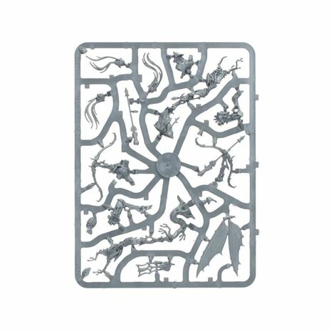 Warhammer: Age of Sigmar - Echoes of Doom