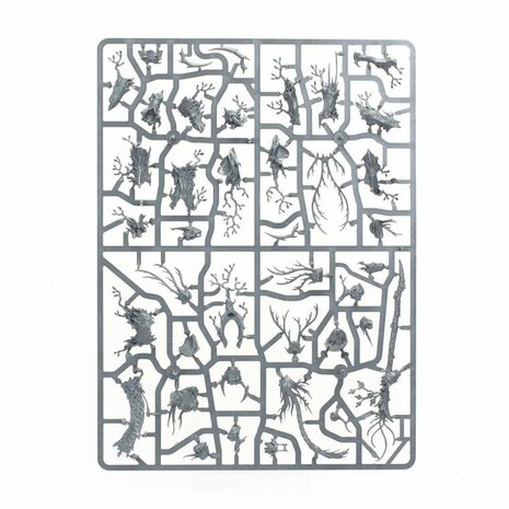 Warhammer: Age of Sigmar - Echoes of Doom