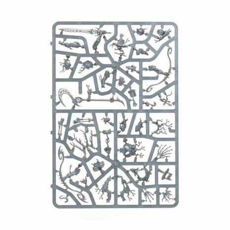 Warhammer: Age of Sigmar - Echoes of Doom