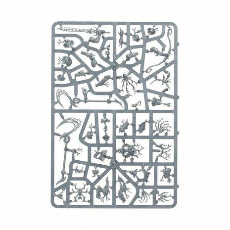 Warhammer: Age of Sigmar - Echoes of Doom