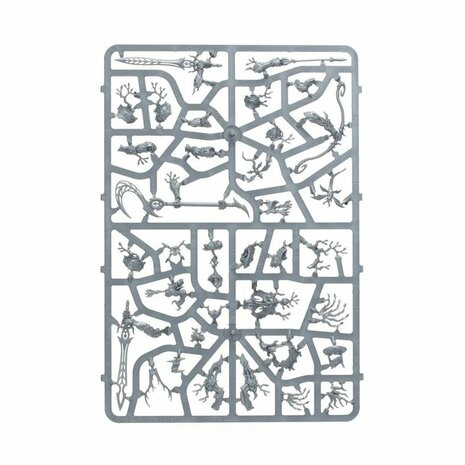 Warhammer: Age of Sigmar - Echoes of Doom