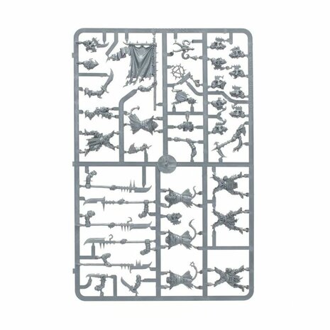 Warhammer: Age of Sigmar - Echoes of Doom