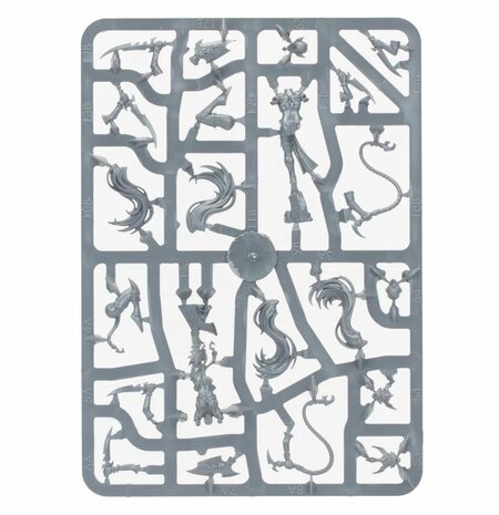 Warhammer: Age of Sigmar - Vanguard: Daughters of Khaine