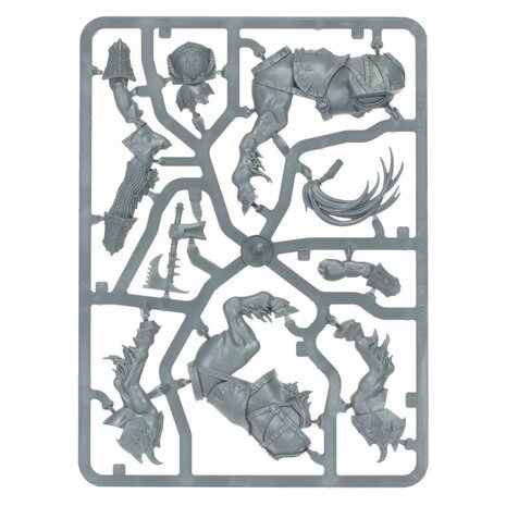 Warhammer: Age of Sigmar - Warcry: Centaurion Marshal