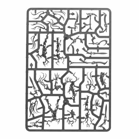 Warhammer: Age of Sigmar - Vanguard: Sylvaneth