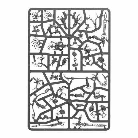 Warhammer: Age of Sigmar - Vanguard: Sylvaneth