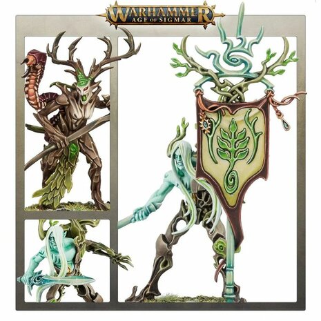 Warhammer: Age of Sigmar - Vanguard: Sylvaneth