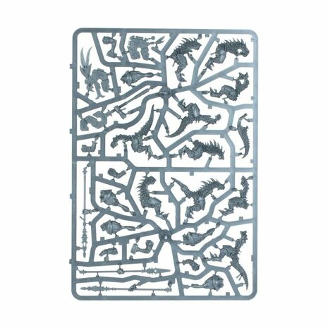 Warhammer: Age of Sigmar - Seraphon: Saurus Warriors