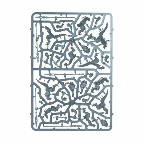 Warhammer: Age of Sigmar - Seraphon: Saurus Warriors