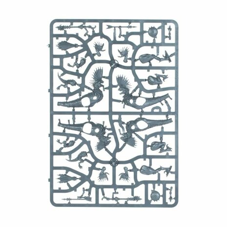 Warhammer: Age of Sigmar - Seraphon: Raptadon Hunters