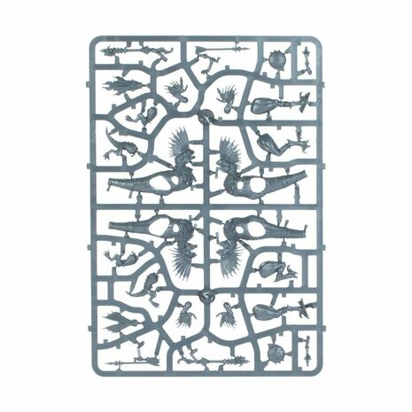 Warhammer: Age of Sigmar - Seraphon: Raptadon Hunters