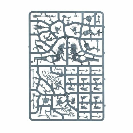 Warhammer: Age of Sigmar - Seraphon: Raptadon Hunters