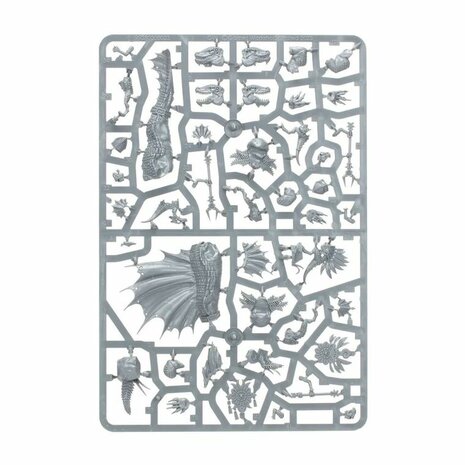 Warhammer: Age of Sigmar - Seraphon: Spawn of Chotec