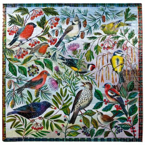 Birds of Scotland - Puzzel (1000)