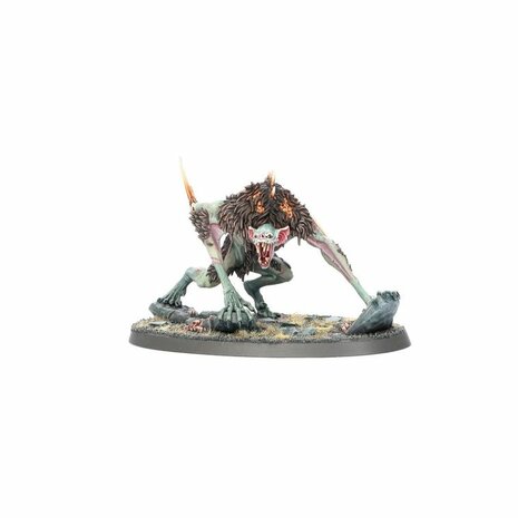 Warhammer: Age of Sigmar - Flesh-eater Courts: Army Set